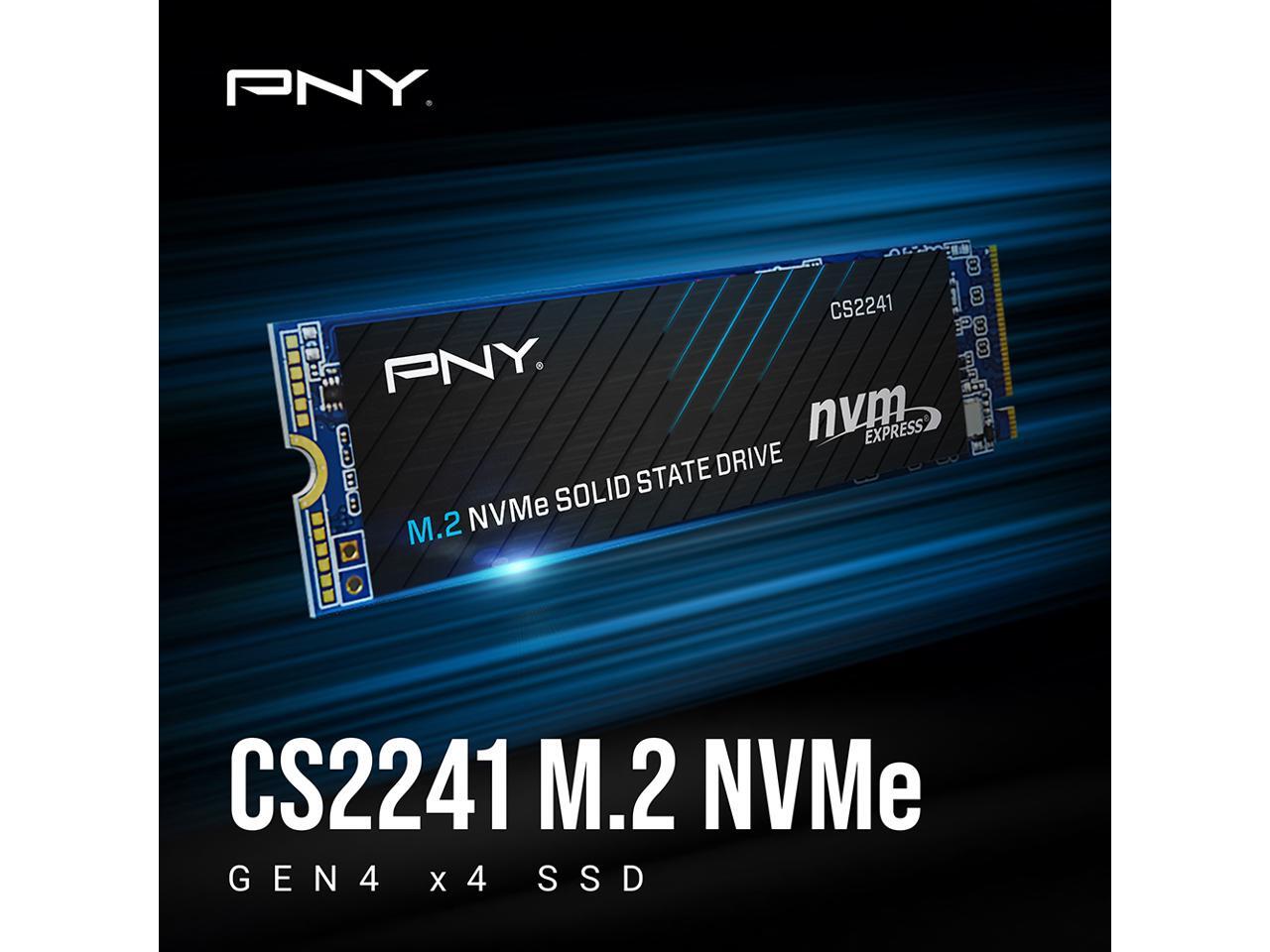 Ssd 500Gbpny M280Cs2241 500 Rb R
